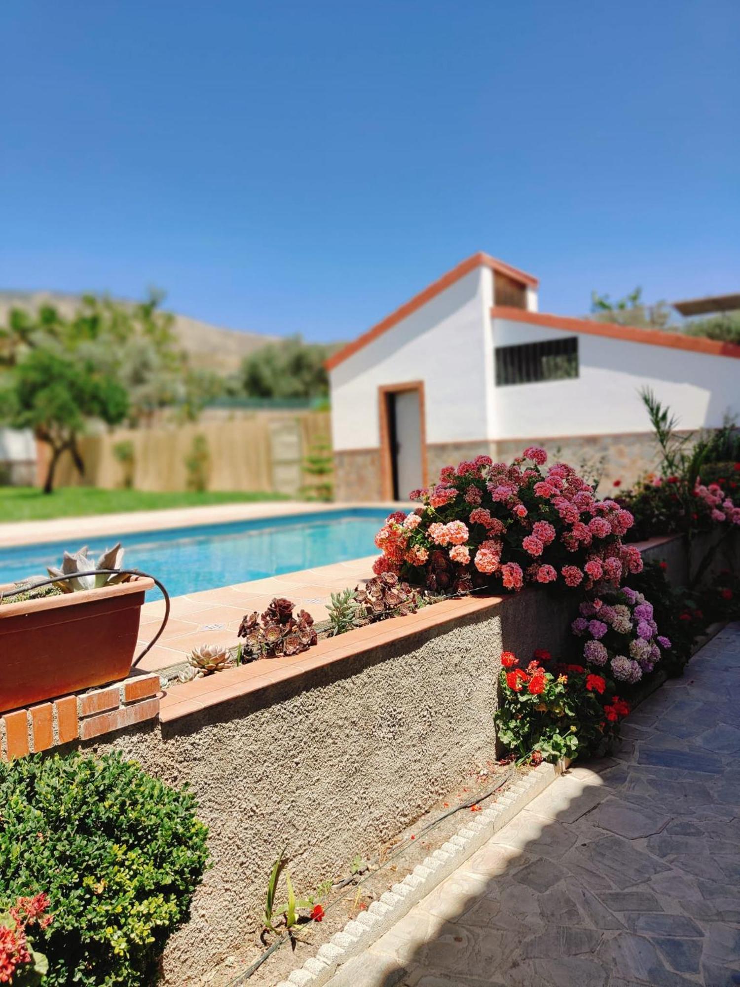 Casa Rural Las Cuatro Flores Orgiva Exterior foto